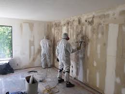 Best Air Quality Testing for Mold Spores  in Hawthorne, FL